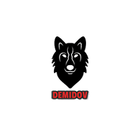 demidov_agency_security